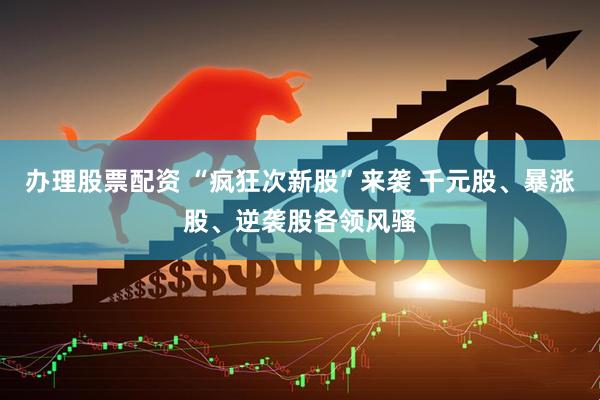 办理股票配资 “疯狂次新股”来袭 千元股、暴涨股、逆袭股各领风骚