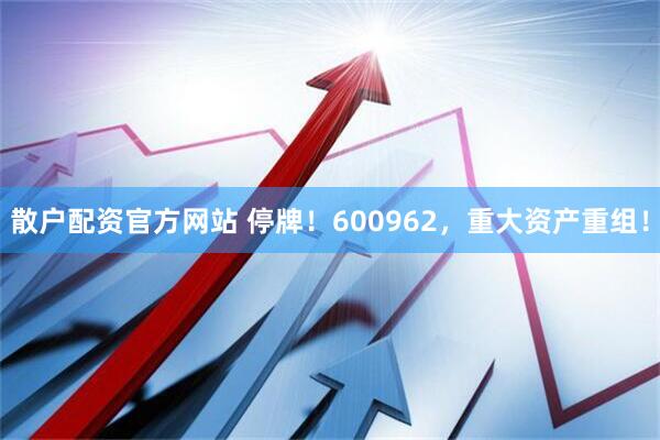 散户配资官方网站 停牌！600962，重大资产重组！