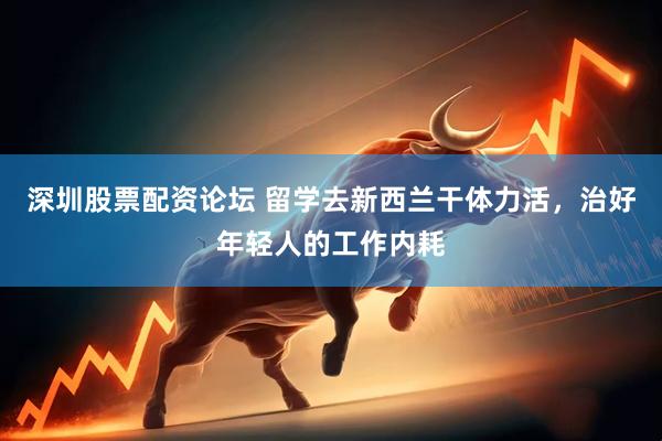 深圳股票配资论坛 留学去新西兰干体力活，治好年轻人的工作内耗